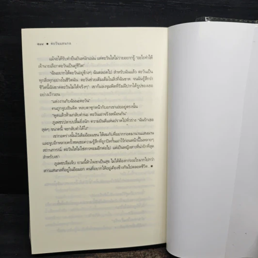 ตะวันแสนกล - ภาจินต์ รูปที่ 8