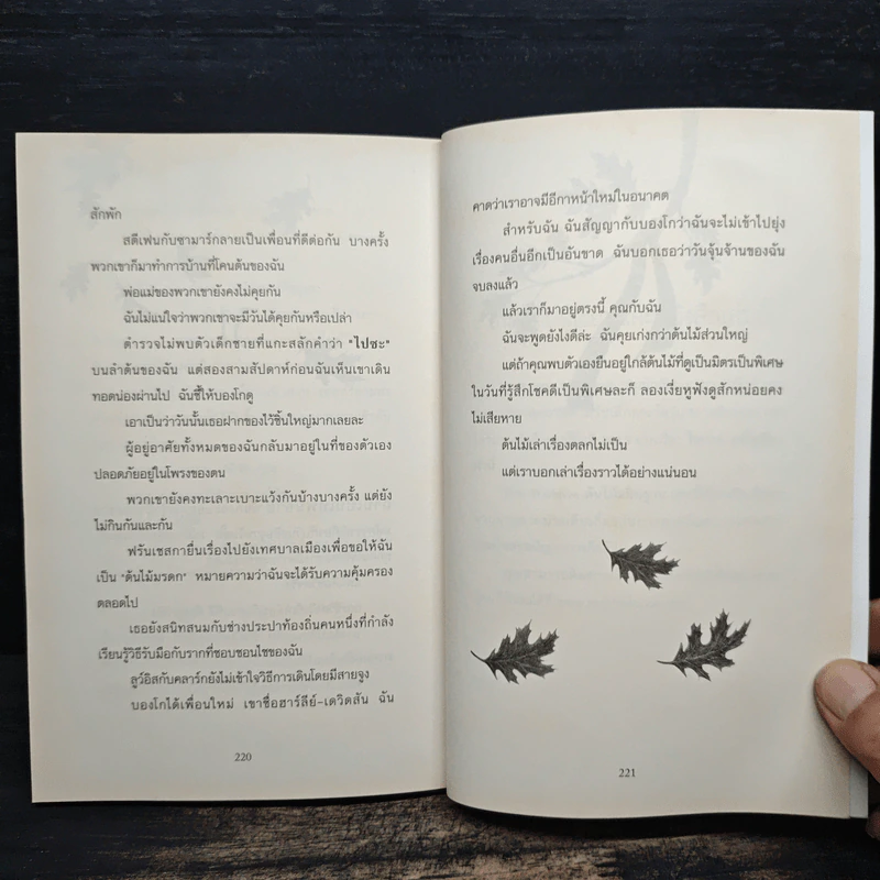 Wishtree ต้นไม้อธิษฐาน - Katherine Applegate รูปที่ 8