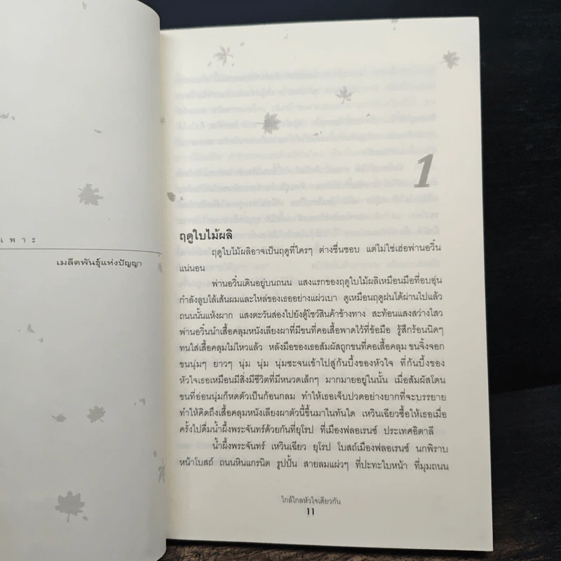 ใกล้ไกลหัวใจเดียวกัน - ฉวนเหยา รูปที่ 7