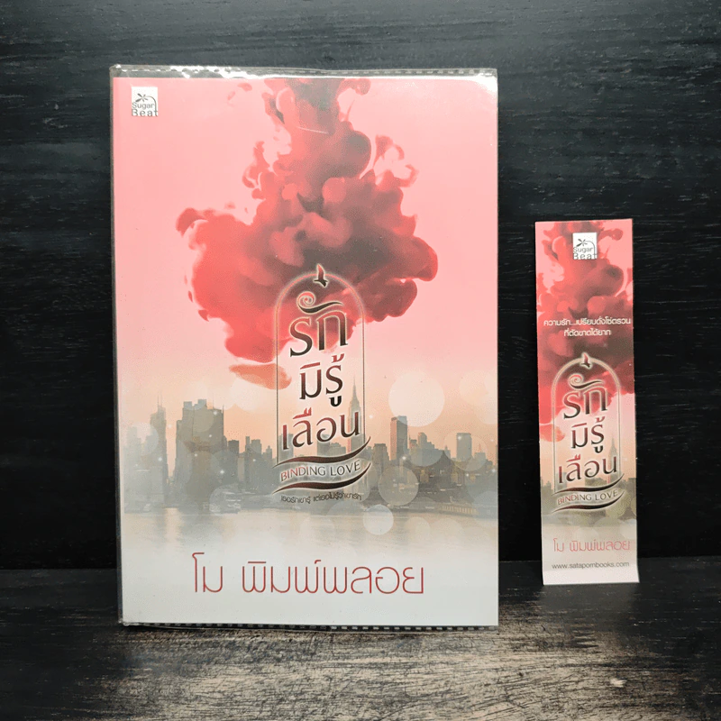 รักมิรู้เลือน - โม พิมพ์พลอย รูปที่ 1