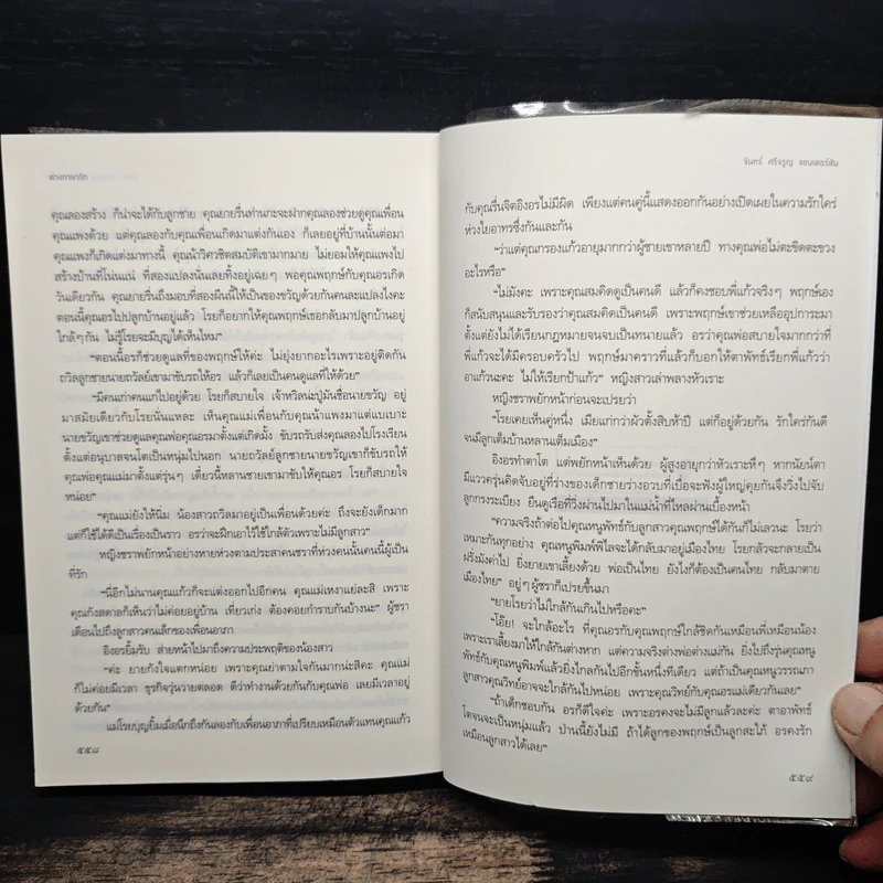 ต่างภาษารัก - จันทร์ ศรีจรูญ แอนเดอร์สัน รูปที่ 8