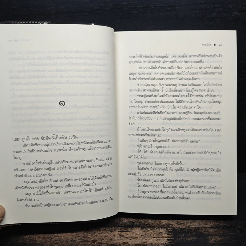 เร้น - ชลนิล รูปที่ 8