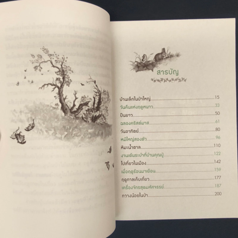 บ้านเล็กในป่าใหญ่ Little House in the Big woods - ชลลดา ไพบูลย์สิน รูปที่ 7