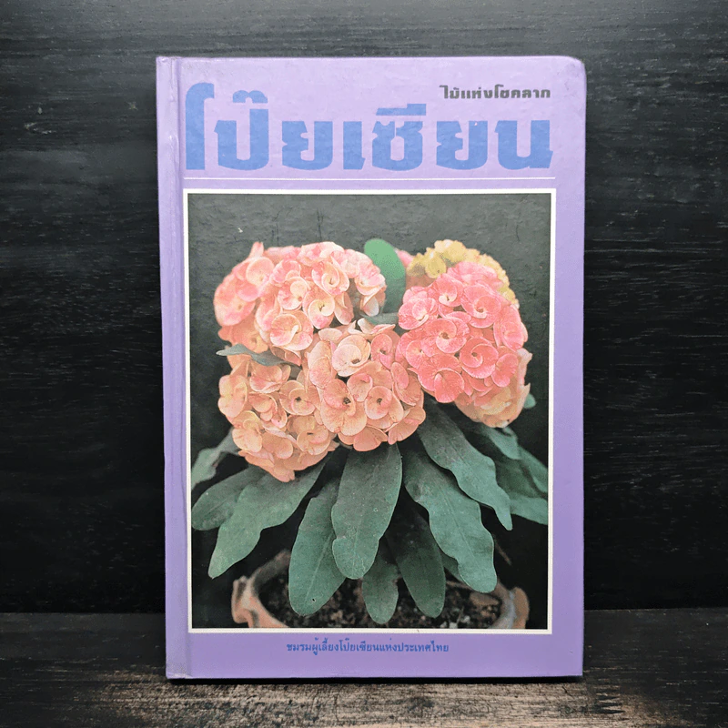 ไม้แห่งโชคลาภ โป๊ยเซียน - ไพโรจน์ จักรวาลชัย รูปที่ 1