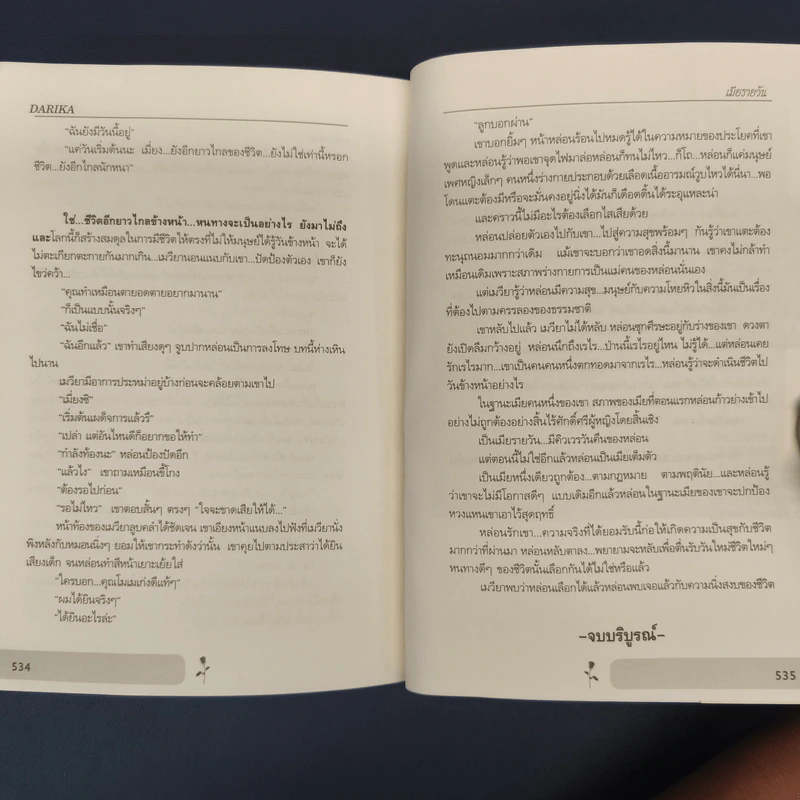 เมียรายวัน - ดาริกา รูปที่ 8