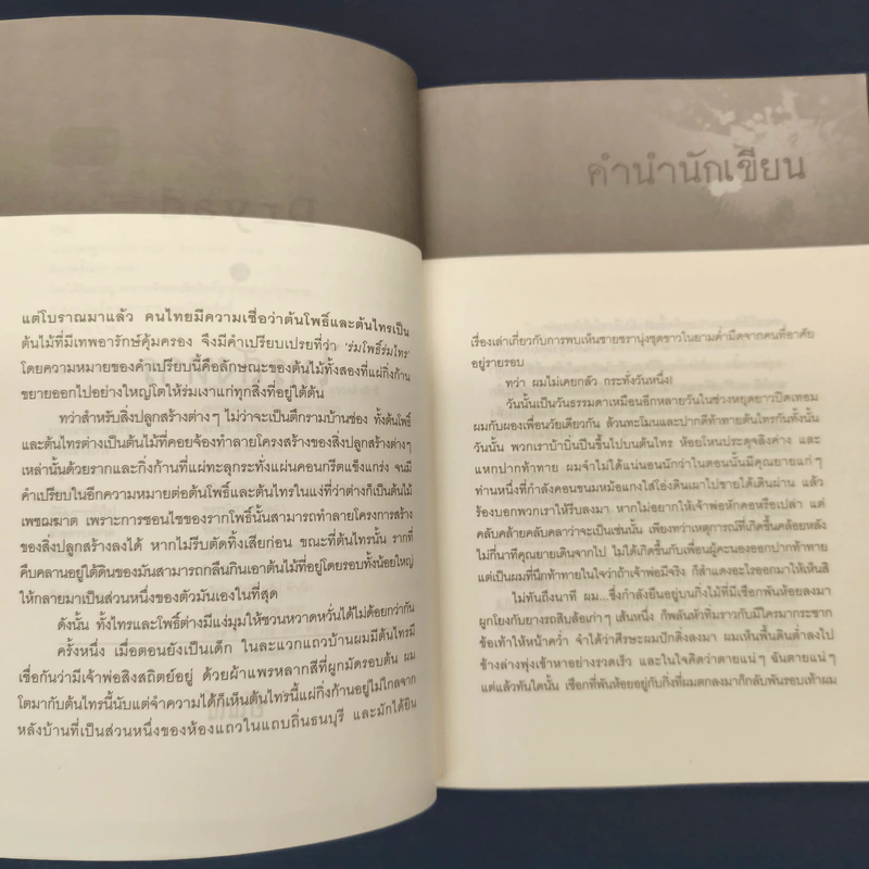 ไทรสังหาร - อัณณ์ รูปที่ 6