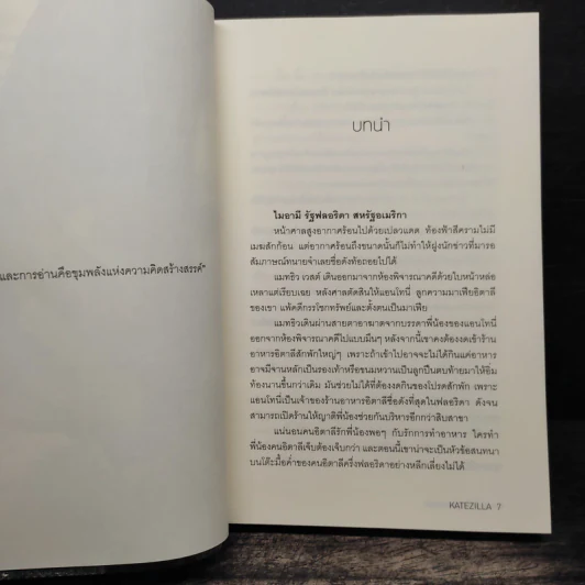พักร้อน...ซ่อนกลรัก - KATEZILLA รูปที่ 6