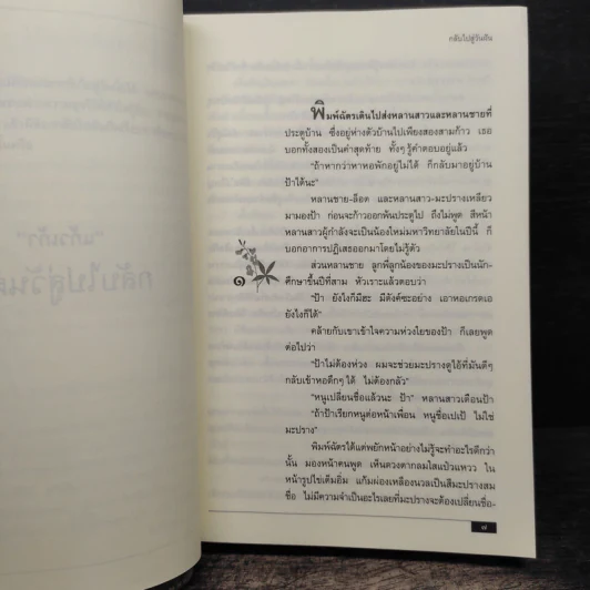กลับไปสู่วันฝัน - แก้วเก้า รูปที่ 6