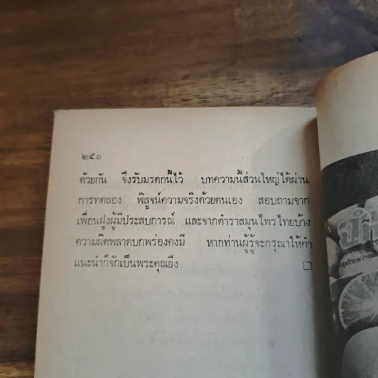 สวนหลังบ้าน เล่ม 1 - สุนทร ปุณโณทก รูปที่ 9