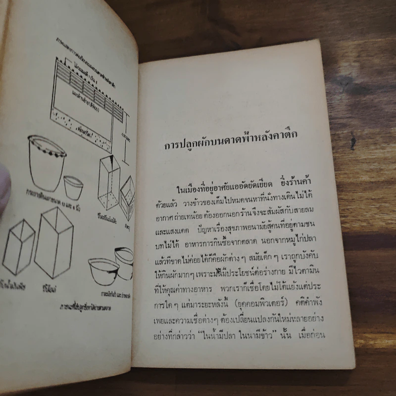 สวนหลังบ้าน เล่ม 1 - สุนทร ปุณโณทก รูปที่ 8