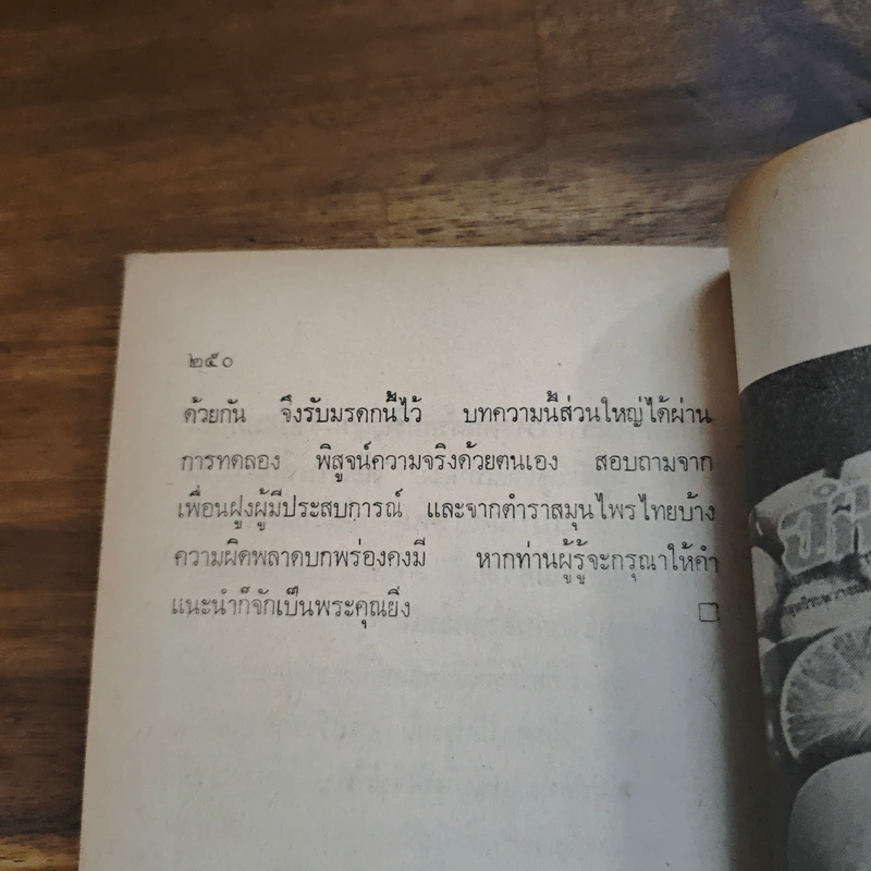 สวนหลังบ้าน เล่ม 1 - สุนทร ปุณโณทก รูปที่ 9