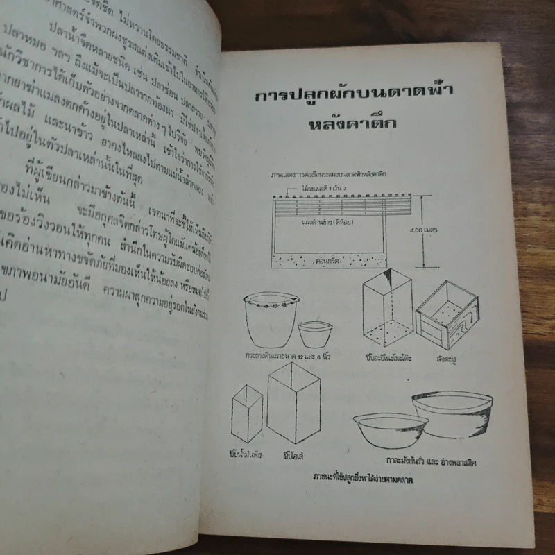 สวนหลังบ้าน เล่ม 1 "คนรักต้นไม้" - สุนทร ปุณโณทก รูปที่ 8