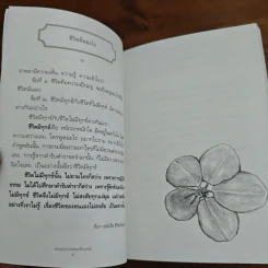 ธรรมะจาก หลวงพ่อเทียน จิตตสุโภ รูปที่ 9
