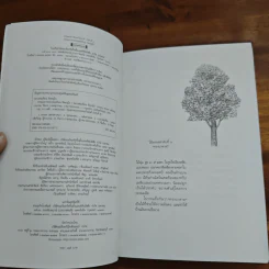 ธรรมะจาก หลวงพ่อเทียน จิตตสุโภ รูปที่ 6