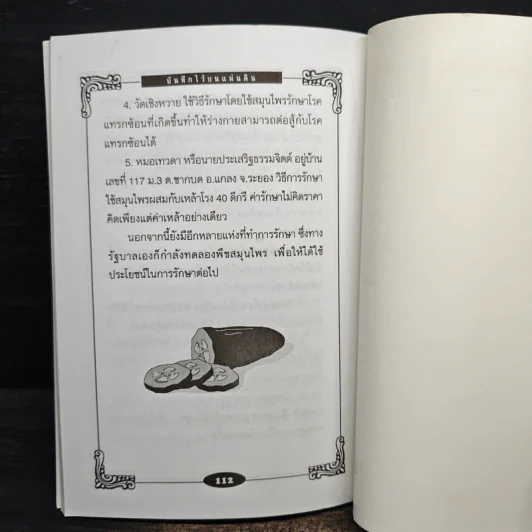 บันทึกไว้ บนแผ่นดิน รูปที่ 11