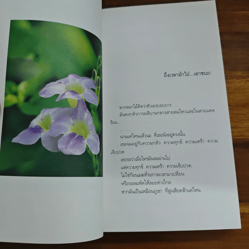 เพราะเชื่อ ฉันจึงทำได้ - ปะการัง รูปที่ 8