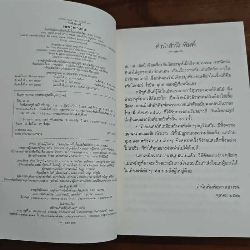วินนีเดอะพูห์ Winnie the Pooh - เอ.เอ.มิลน์ รูปที่ 6