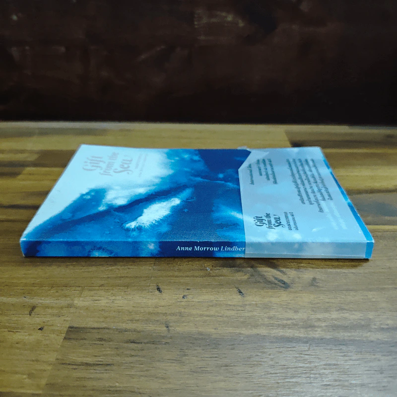 Gift from the Sea ของฝากจากทะเล - แอน มอร์โรล ลินด์เบิร์กห์ รูปที่ 3