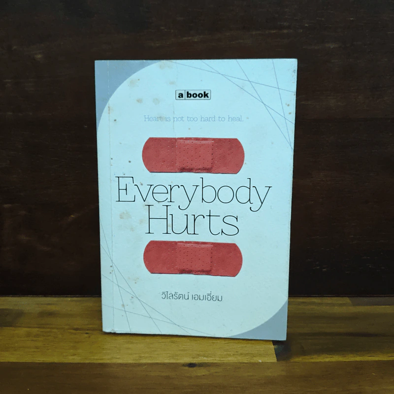 Everybody Hurts - วิไลรัตน์ เอมเอี่ยม รูปที่ 1