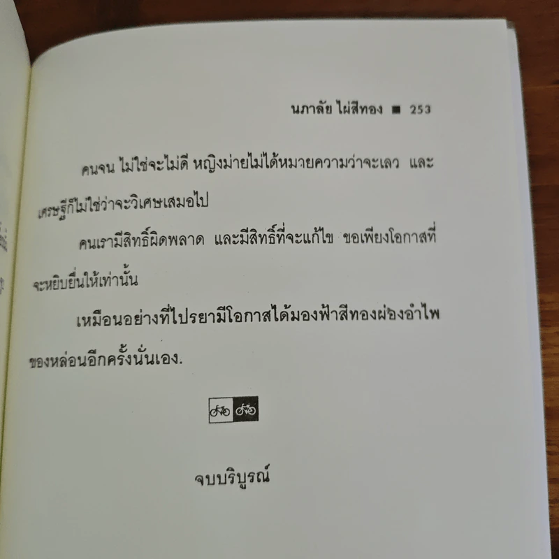 เจ้าสาวมือสอง - นภาลัย ไผ่สีทอง รูปที่ 8