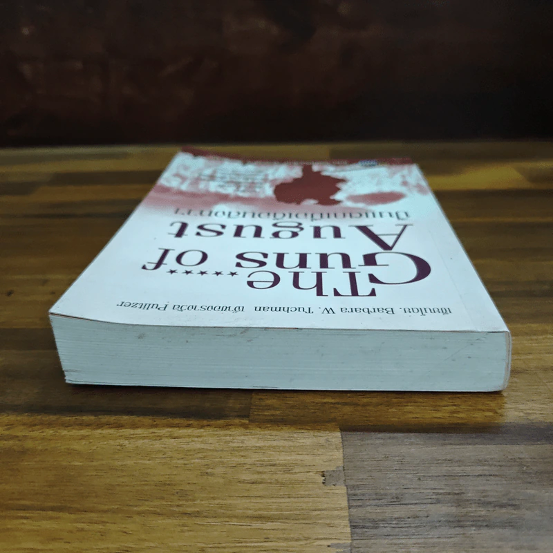 ปืนแตกเมื่อเดือนสิงหาฯ : The Guns of August - Barbara W. Tuchman รูปที่ 5
