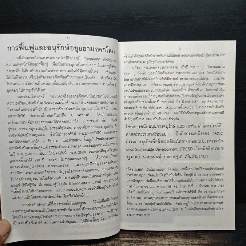 กรุงศรีอยุธยา ชุด อยุธยามรดกโลก รูปที่ 9