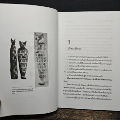 โลกเร้นลับของแมวมหัศจรรย์ - บรรยง บุญฤทธิ์ รูปที่ 8