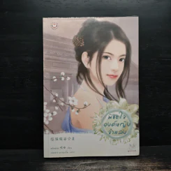 พิชิตใจองค์หญิงจำแลง - หนีหนาน