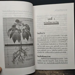 ความลับของโสม จากสูตรยาตุ๋นถึงงานวิจัย - อรชุน เลียววัฒนะผล รูปที่ 9