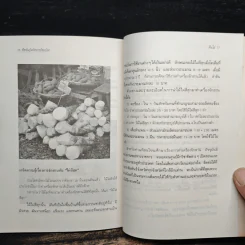 ต้นไผ่ พืชพันธุ์มหัศจรรย์ของโลก - เจนจบ ยิ่งสุมล รูปที่ 9