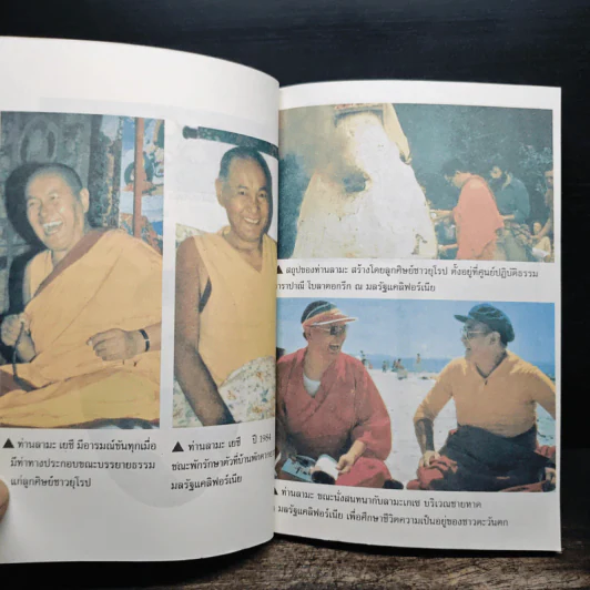 กำเนิดใหม่ลามะ รูปที่ 8