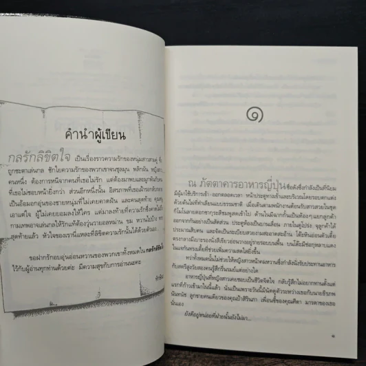 กลรักลิขิตใจ - ทักษิณา รูปที่ 7
