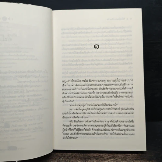 จ้างงาน จ้างรัก - เพลงใบไม้ รูปที่ 6