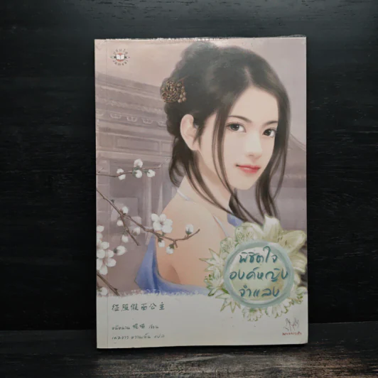 พิชิตใจองค์หญิงจำแลง - หนีหนาน รูปที่ 1