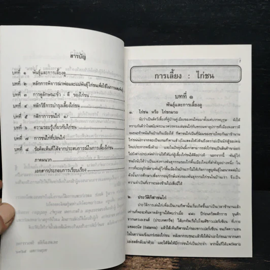 ไก่ชน เทคนิคการผสมพันธุ์และการเลี้ยงดู - รศ.ดร.อภิชัย รัตนวราหะ รูปที่ 7