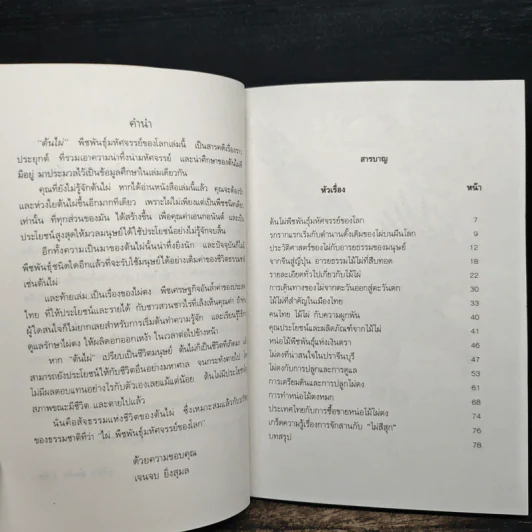 ต้นไผ่ พืชพันธุ์มหัศจรรย์ของโลก - เจนจบ ยิ่งสุมล รูปที่ 7