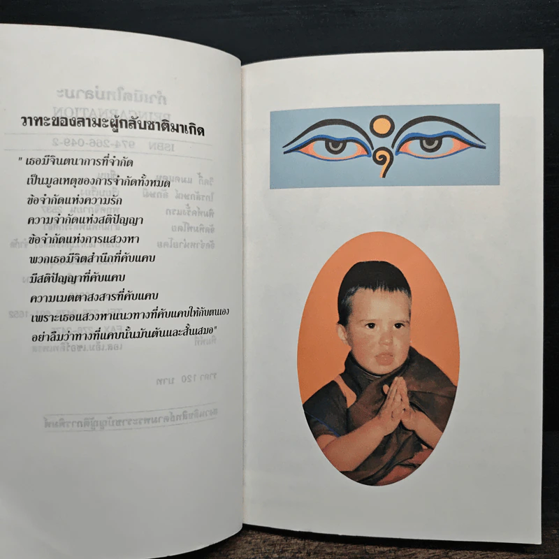 กำเนิดใหม่ลามะ รูปที่ 7