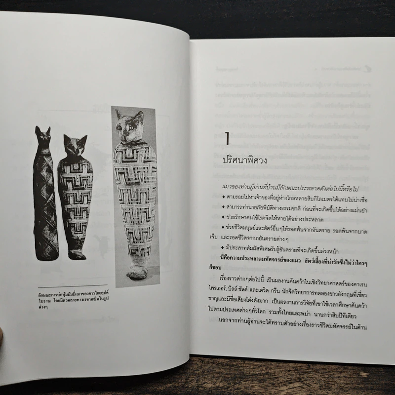 โลกเร้นลับของแมวมหัศจรรย์ - บรรยง บุญฤทธิ์ รูปที่ 8