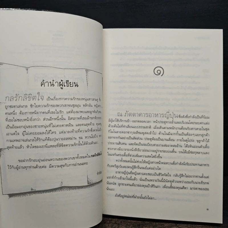 กลรักลิขิตใจ - ทักษิณา รูปที่ 7