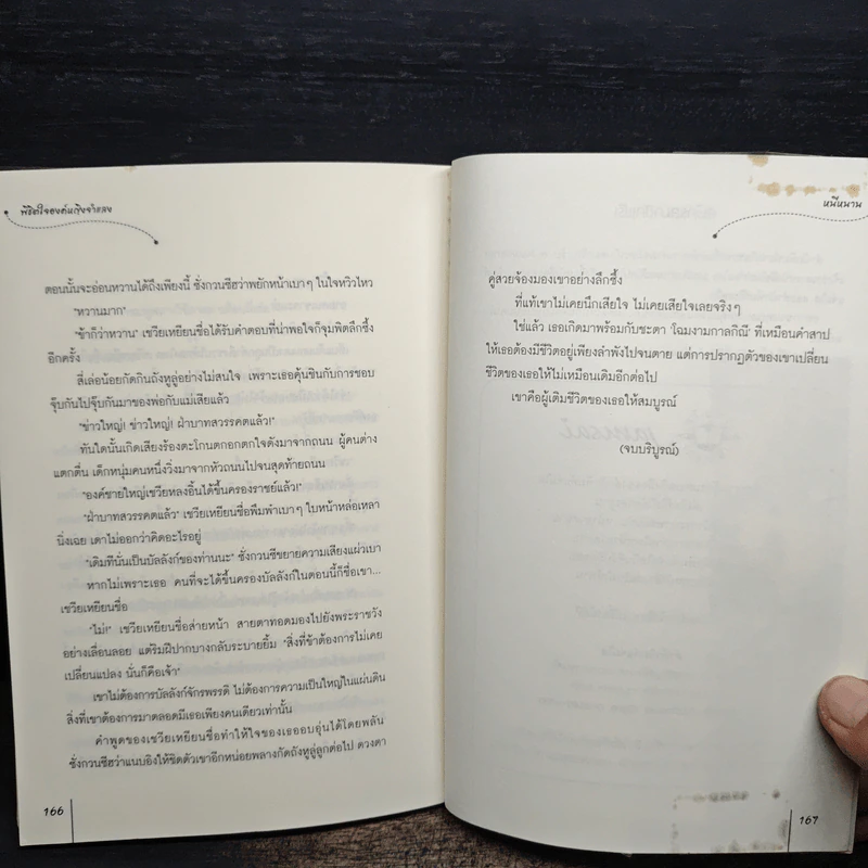 พิชิตใจองค์หญิงจำแลง - หนีหนาน รูปที่ 8