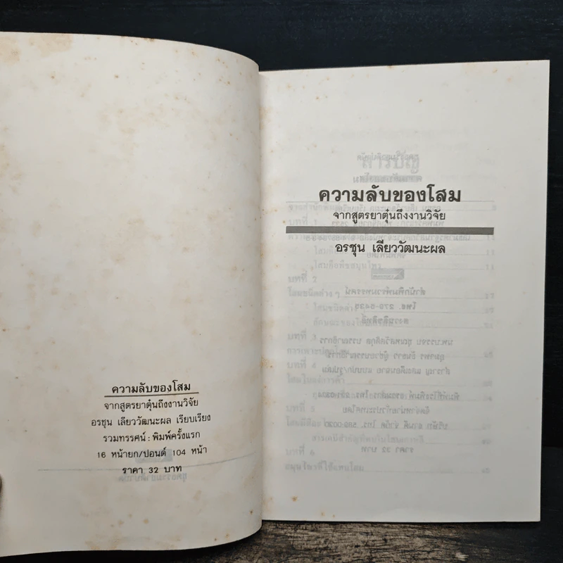 ความลับของโสม จากสูตรยาตุ๋นถึงงานวิจัย - อรชุน เลียววัฒนะผล รูปที่ 6