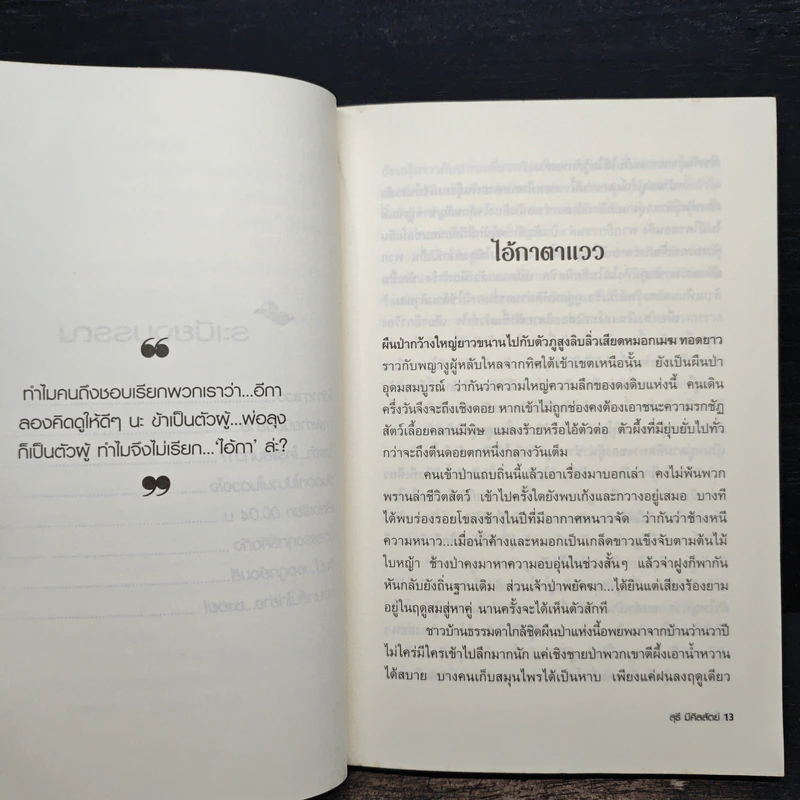 ไอ้กาตาแวว - สุธี มีศิลสัตย์ รูปที่ 8