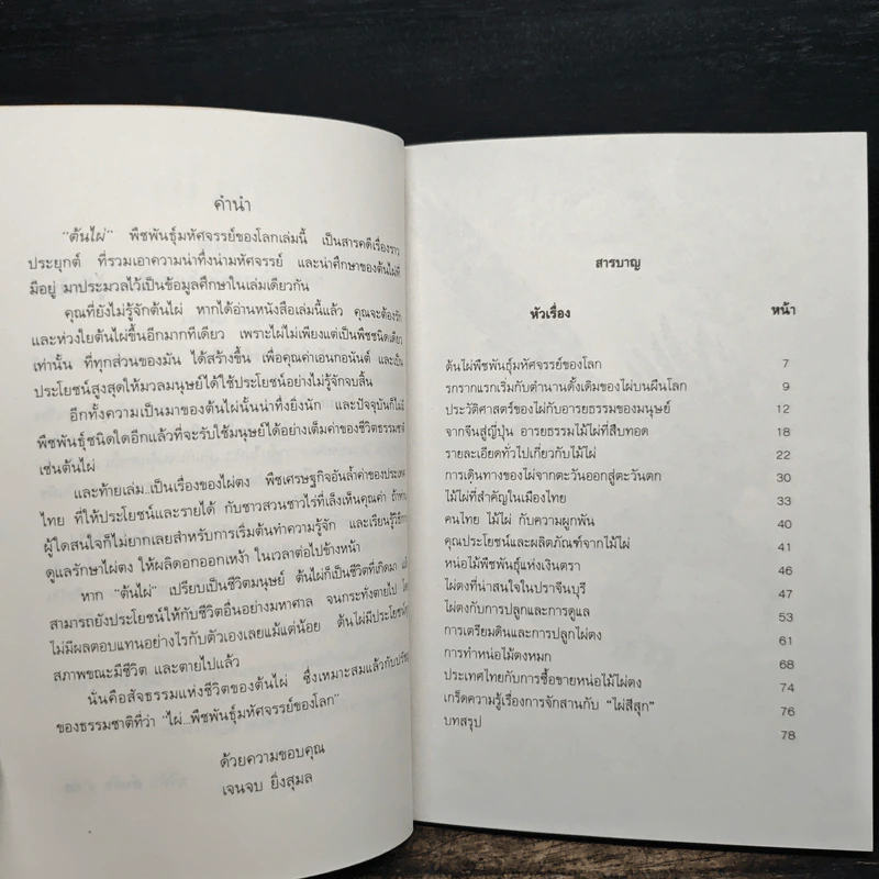 ต้นไผ่ พืชพันธุ์มหัศจรรย์ของโลก - เจนจบ ยิ่งสุมล รูปที่ 7