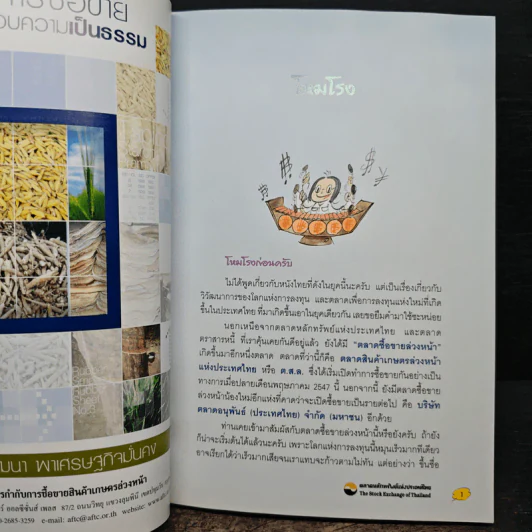เปิดประตูสู่ตลาดซื้อขายล่วงหน้า - ดร.ชัยพัฒน์ สหัสกุล รูปที่ 8