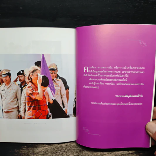 เจ้าหญิงในดวงใจประชาชน รูปที่ 9