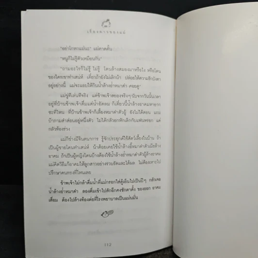 เรื่องลาวของแม่ - อรุณวดี อรุณมาศ รูปที่ 9