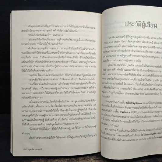 ใบไม้ใบสุดท้าย - บุนเสิน แสงมะนี รูปที่ 10