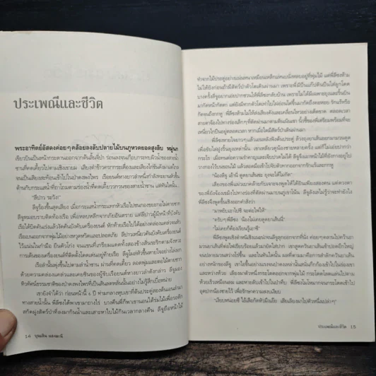 ใบไม้ใบสุดท้าย - บุนเสิน แสงมะนี รูปที่ 9