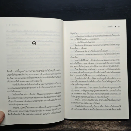 ดั่งดาวพเนจร - ร่มแก้ว รูปที่ 8