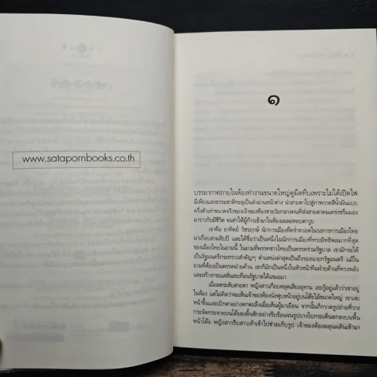 นักสืบ...รัก ลวง พราง - ชาครียา รูปที่ 7
